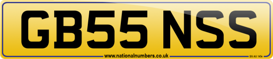 GB55 NSS