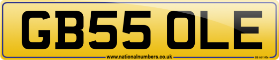 GB55 OLE