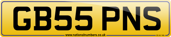 GB55 PNS
