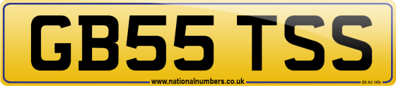 GB55 TSS