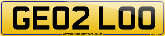 GE02 LOO
