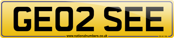 GE02 SEE