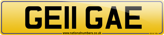 GE11 GAE