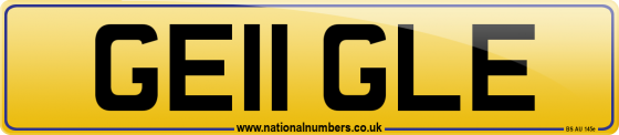 GE11 GLE