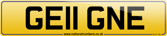 GE11 GNE