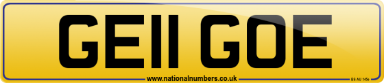 GE11 GOE
