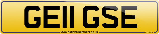 GE11 GSE