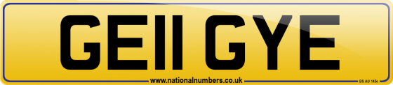 GE11 GYE