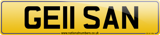 GE11 SAN