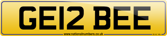 GE12 BEE