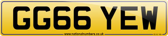 GG66 YEW