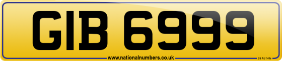 GIB 6999