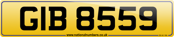 GIB 8559