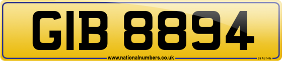 GIB 8894