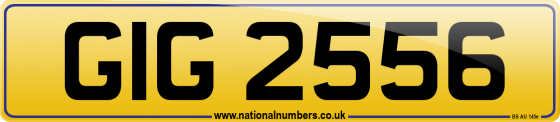 GIG 2556