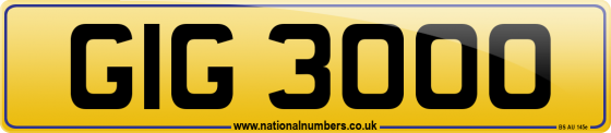GIG 3000