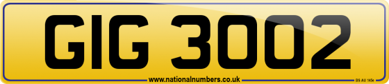 GIG 3002