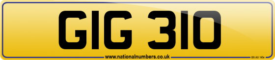 GIG 310