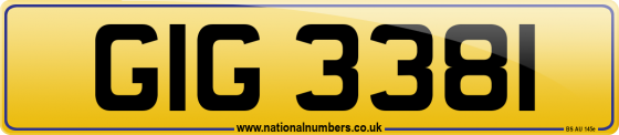 GIG 3381