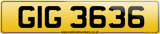 GIG 3636