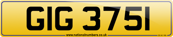GIG 3751