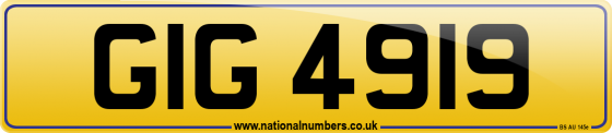 GIG 4919
