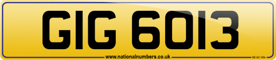 GIG 6013