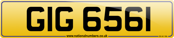 GIG 6561