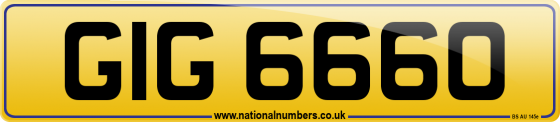 GIG 6660