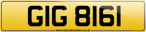 GIG 8161