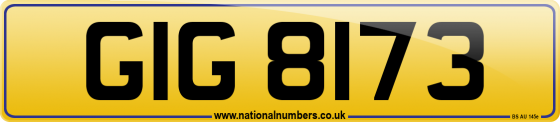 GIG 8173