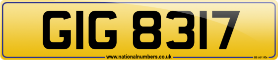 GIG 8317