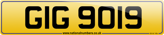 GIG 9019
