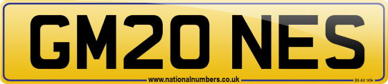 GM20 NES