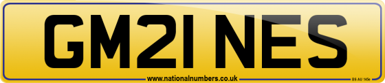GM21 NES