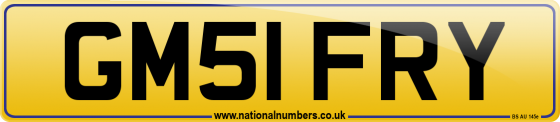GM51 FRY