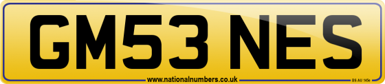 GM53 NES