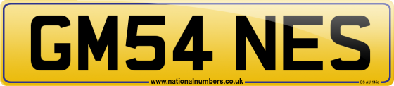 GM54 NES
