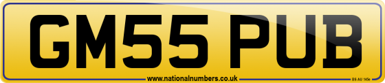 GM55 PUB