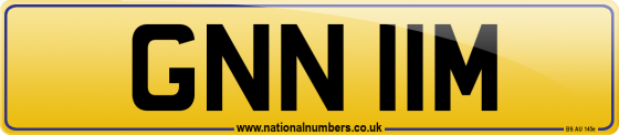 GNN 11M