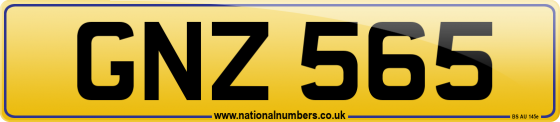 GNZ 565