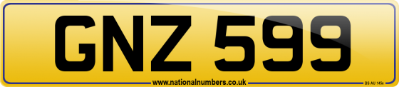 GNZ 599