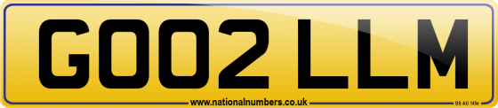 GO02 LLM