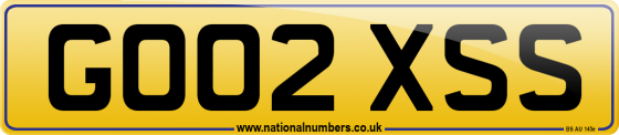 GO02 XSS