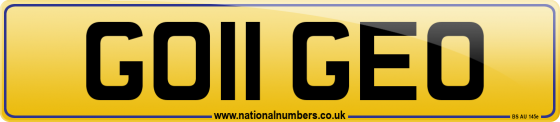 GO11 GEO