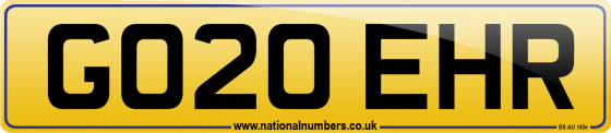GO20 EHR