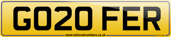 GO20 FER
