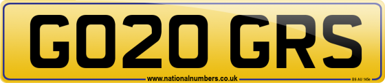 GO20 GRS