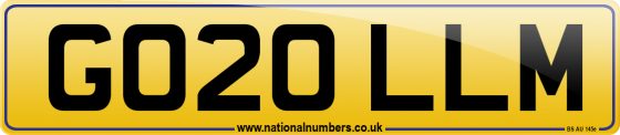 GO20 LLM