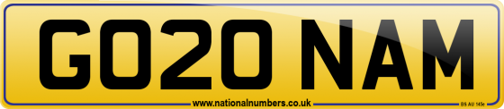 GO20 NAM